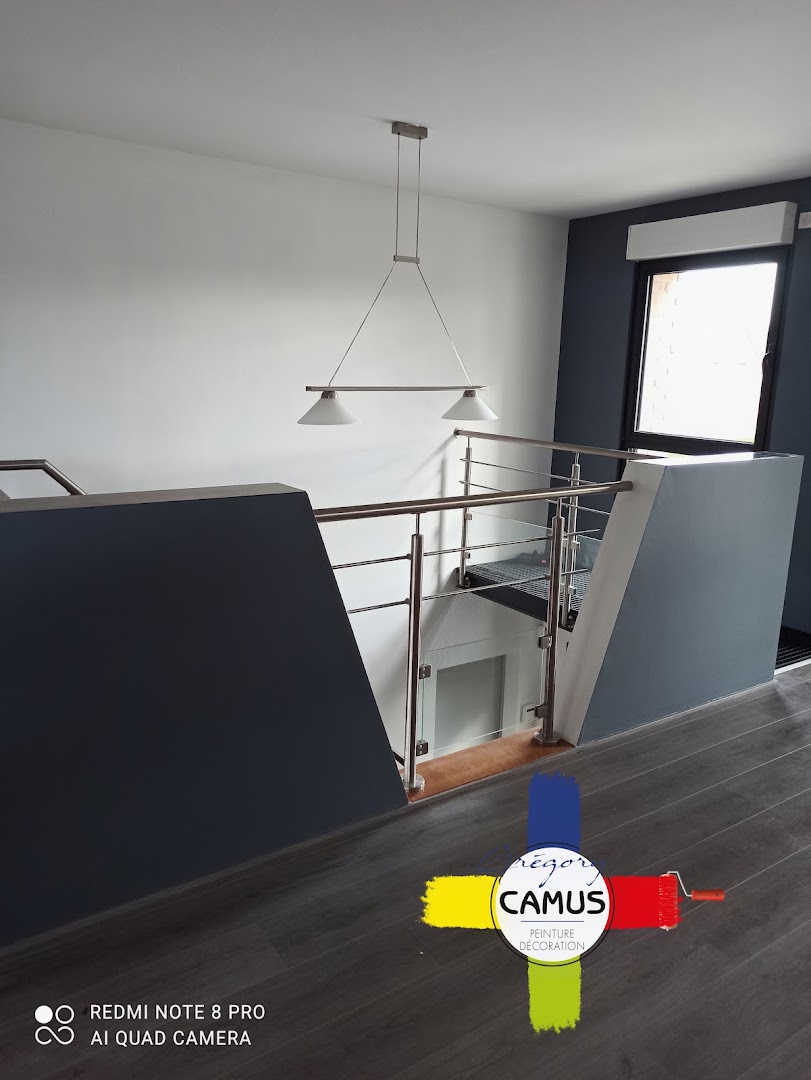 Gregory Camus peintre décorateur — Photos 6