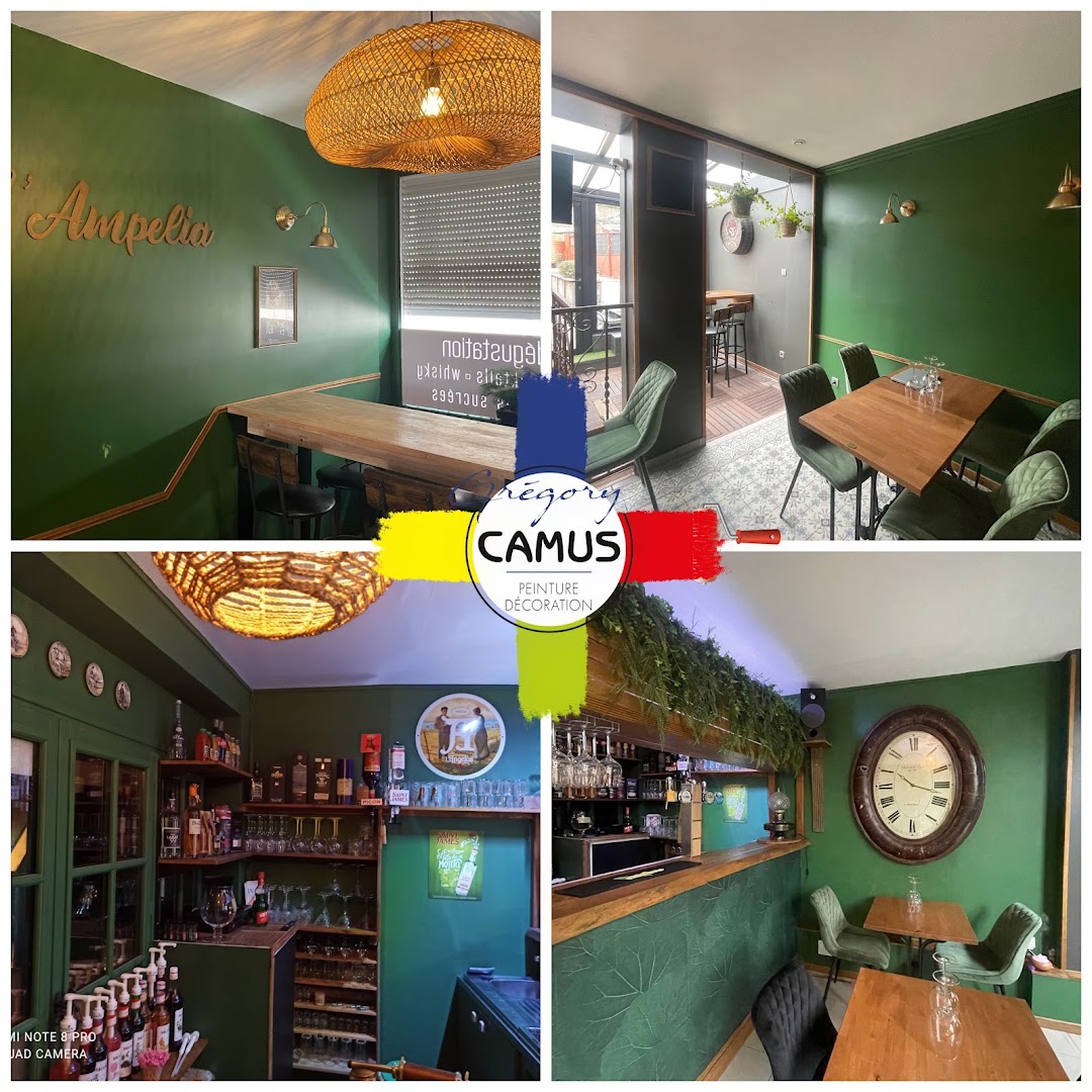 Gregory Camus peintre décorateur — Photos 9