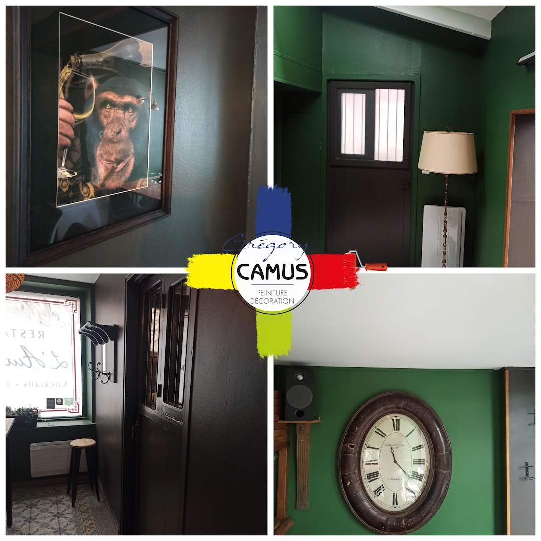 Gregory Camus peintre décorateur — Photos 7