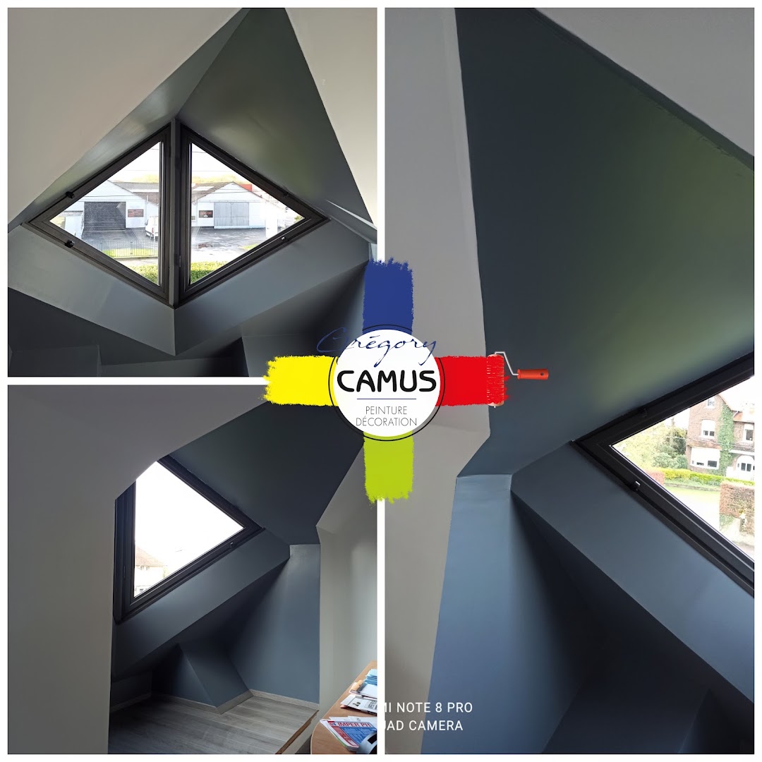 Gregory Camus peintre décorateur — Photos 10